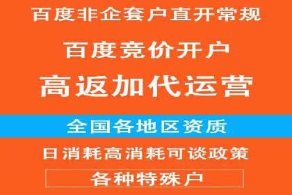 SEM广告投放的技巧与策略——成功案例分享